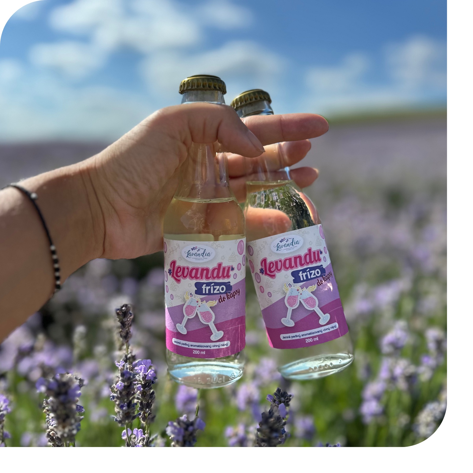 Produktové karty - fotky u textu_2